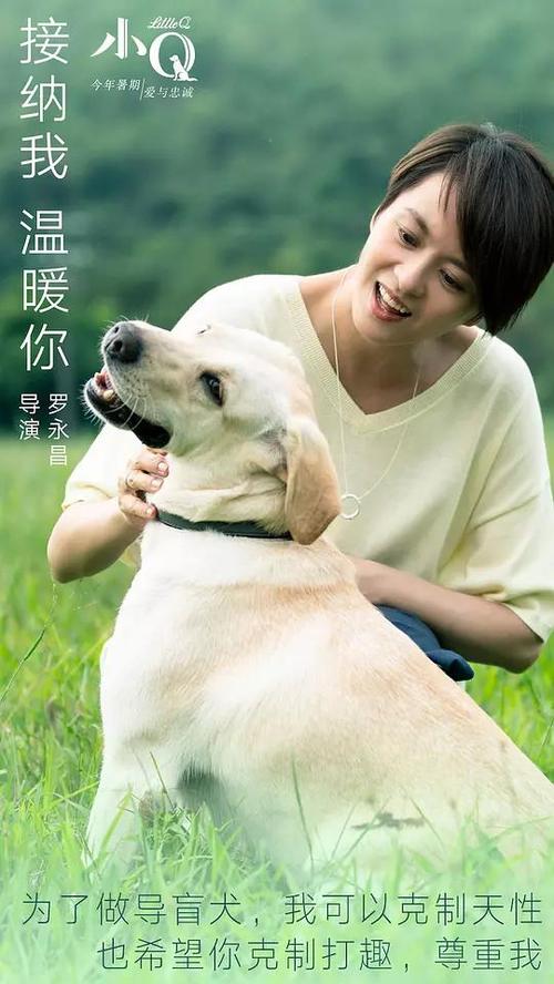 斯坦福大学成绩单电子图
